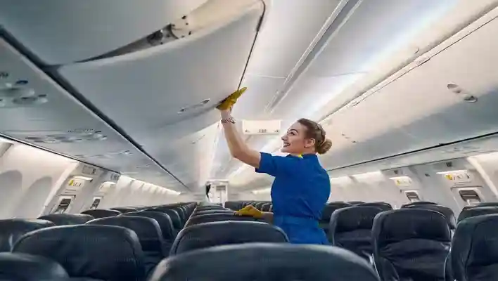 In Flight Behavior Maintaining Hygiene